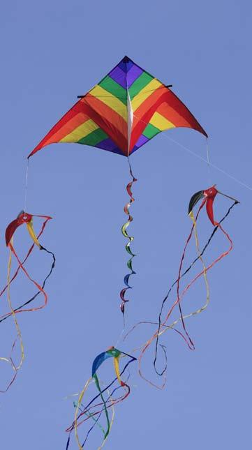 9 Different shapes of kites fly in different ways.