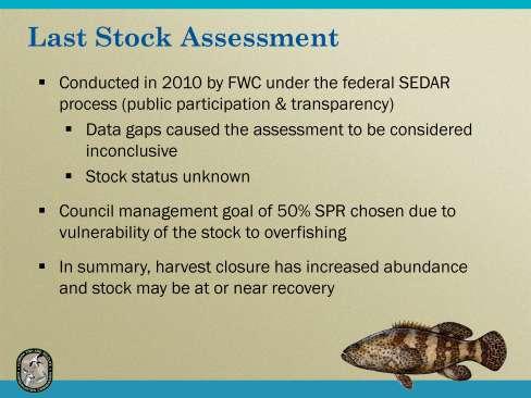The last stock assessment of goliath grouper was completed in 2010 through the regional/federal process known as SEDAR (Southeast Data Assessment and Review) and included data through 2009.
