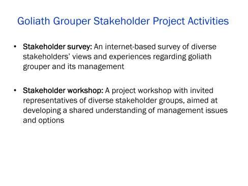 This project had two parts, an in-depth stakeholder survey and a focused stakeholder workshop.