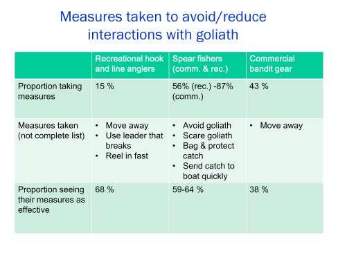 A majority of commercial and recreational spear fishers (87% and 56% respectively) reported taking measures to reduce goliath interactions and their impacts, including: avoiding goliath, scaring
