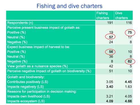 Dive charter businesses viewed impacts of the goliath situation as predominantly positive (75%), with only 8% perceiving a negative impact.