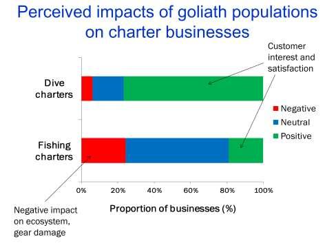 As previously stated, dive charter businesses viewed impacts of the goliath situation as predominantly positive.