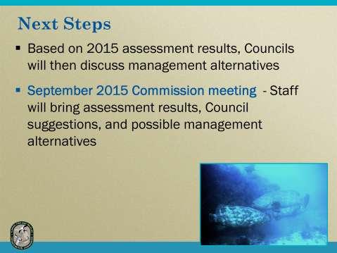 Based on the assessment results and the recommendations for management from the Council committee, the Councils will make decisions about how manage goliath grouper in the