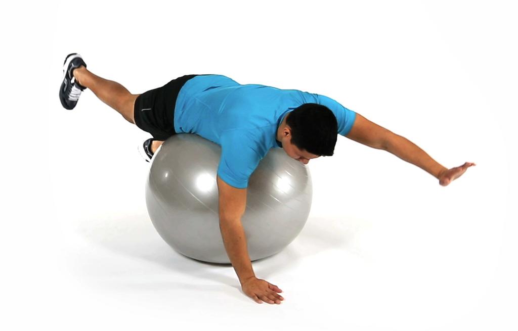 BIRD DOG WITH BALL Rest your belly on the ball with hands planted on the floor, wrists directly below your shoulders and legs extended straight behind you, toes touching the floor.