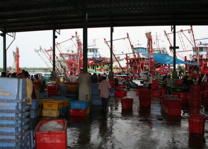 2.5.2 Government Market Intervention Ishak (1994) further observed that attempts by the Fisheries Development Authority (LKIM) to intervene in the fish marketing system through fish trading projects