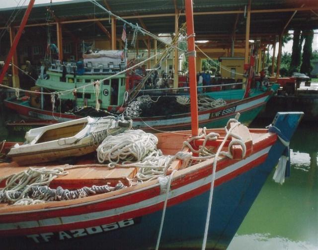 Indeed, enforcement activities for fishing net mesh size are presently lacking due to the scale of non-compliance with regulations.