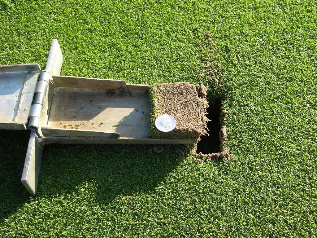 surfaces being able to support sustained play will not provide a fair opportunity to evaluate moving forward with additional putting green renovation.