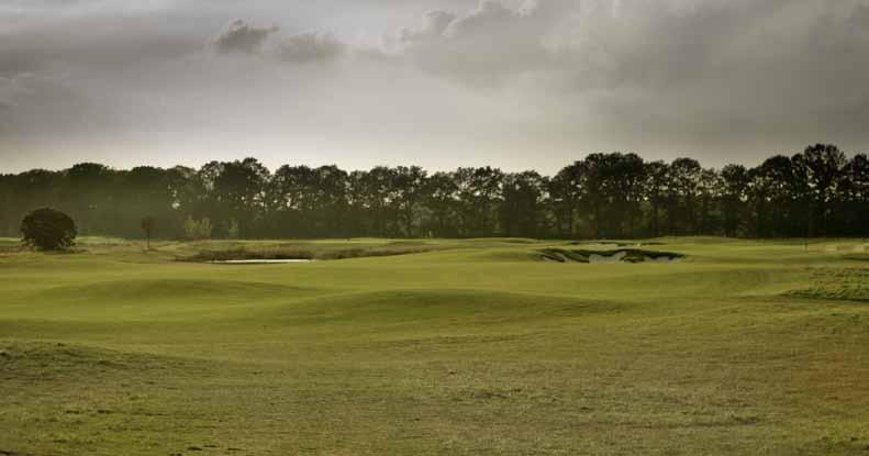 The fourteenth hole is a relatively short par-5 that measures 468 metres. Being a double-dogleg, it provides the longerhitters an opportunity of reaching the green in two strokes.