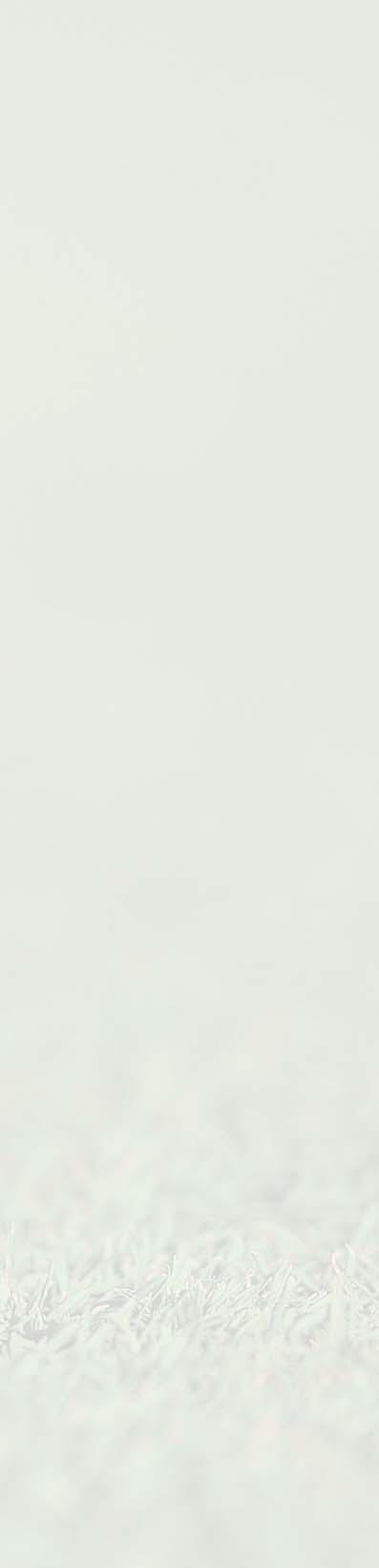 Overall Low Net / Tie Joey Chambers, Les Craft, Steve Farmer Championship Flight 1st Low Net / Joey Chamber First Flight 1st Low Net / Les Craft 2nd Flight 1st Low Net / Steve Farmer Ladies Senior