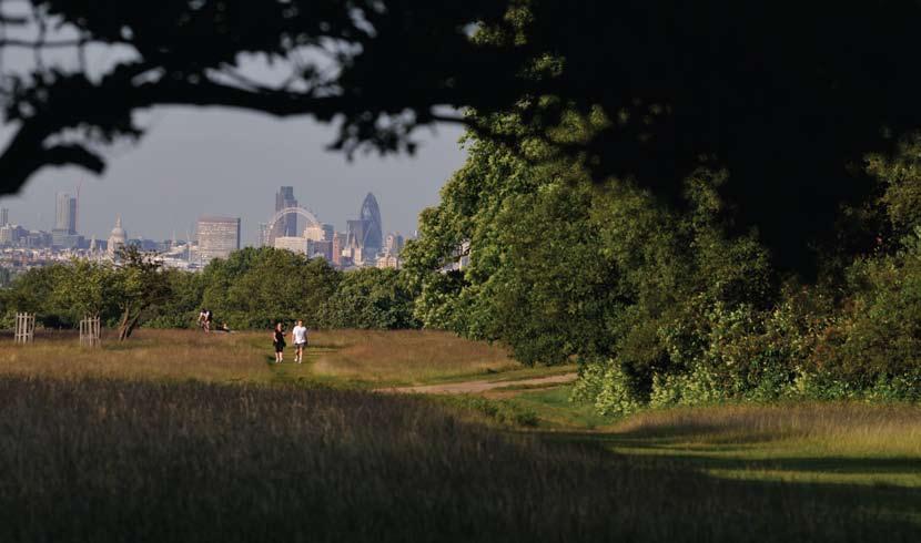 Anne Purkiss View over London from Richmond Hill We spend around 110 billion each year on healthcare in the UK, equal to 8.5 per cent of all income.