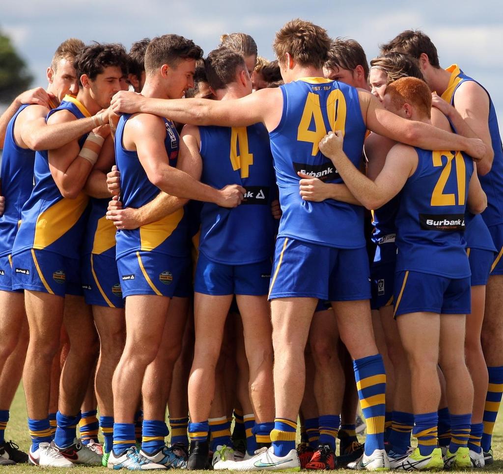 OVERALL STRATEGIC GOALS This section highlights the key issues, constraints, opportunities and potential future directions for Williamstown FC to consider.