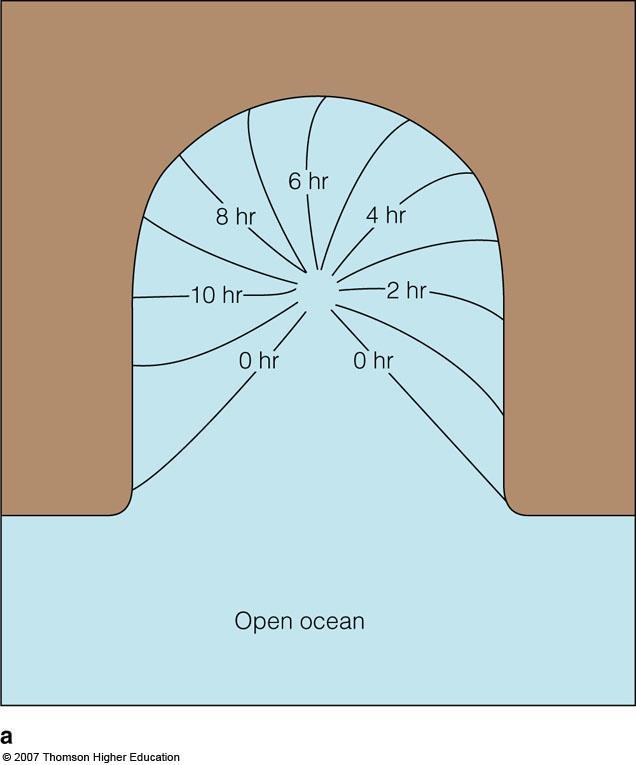Tidal Patterns Vary with Ocean Basin Shape
