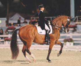 BARRACKS NATIONAL HORSE GGT Footing Textiles are used in the recipe for arena SHOW footing across the