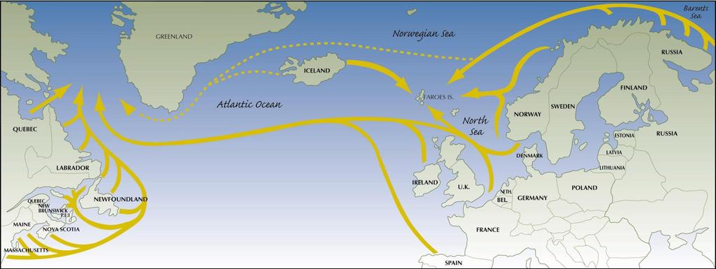 Atlantic salmon distribution and migration