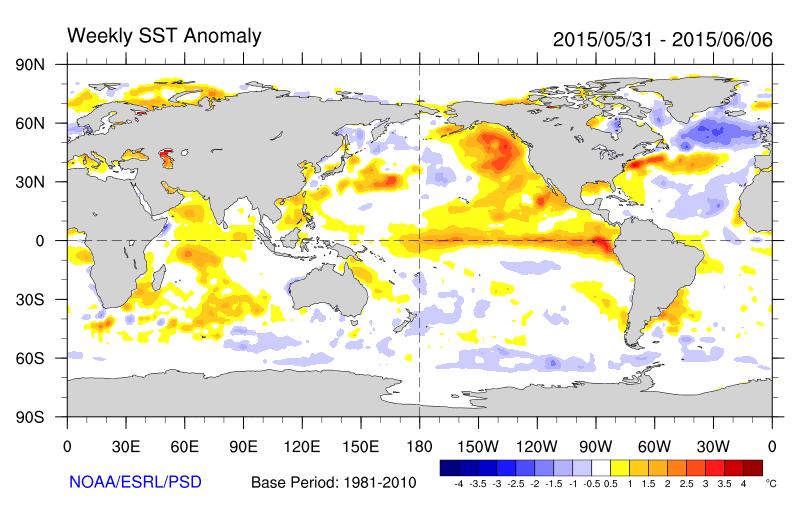 Warm conditions are persisting in 2015 with a possible El Niño El