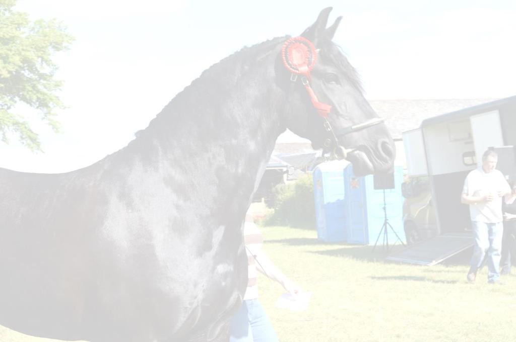 Friesian Horse Show 2017 Showing show and open day Saturday 29 th July Dressage Sunday 30 th July At; Peattie farm, Coupar Angus, Perthshire, PH13 9LH Spectator tickets 10 at