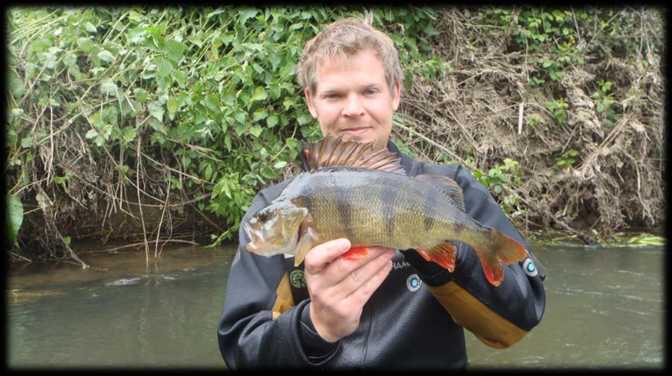 The 2016 surveys recorded some excellent specimen fish on the upper