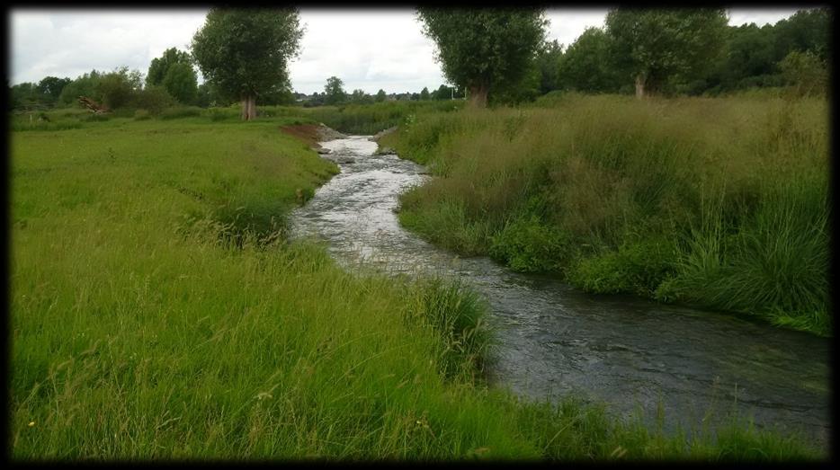 upstream spawning habitat, offchannel river refuge during