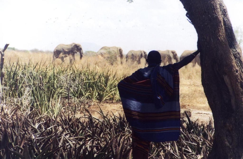 Wildlife Conservation In East African Rangelands: Different Approaches with Maasai in