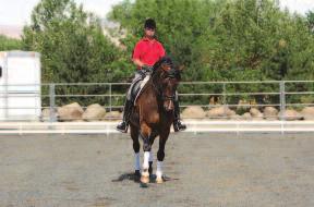 Half-Pass from the Centerline 1 2 I ve turned left at C onto the centerline and am riding Asterios perfectly straight while, as always, I check for balance, cadence, impulsion and the forward quality
