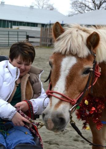 LUCINDA Lucinda is a 13- year- old Haflinger pony, belonging to one of the founders and former President of the BOD,