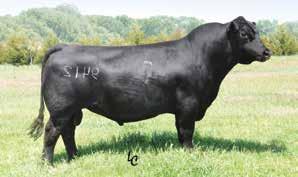 ANGUS 014AN00340 Owned by: Generic Genetics, IA Woodland Farms, MT EXPECTED PROGENY DIFFERENCES AND $VALUES (INFO AS OF 12/20/2013 CED BW WW YW RADG YH SC DOC HP CEM MILK MW MH $EN DTRS/HERDS CWT