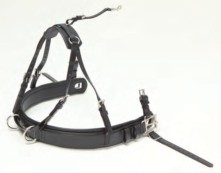 s mouth. The Pair model features removable saddle and false belly band connecting straps.