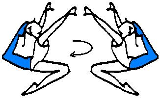 flight body during the flight (more than 180 ) + ring (more than 180 ) + back bend of the trunk with ½