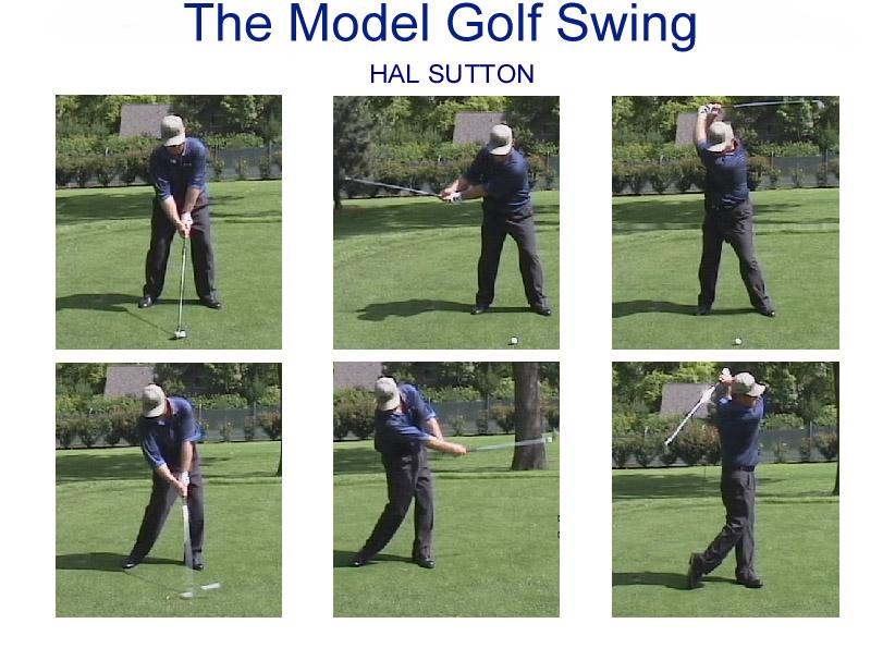 YOU CAN LEARN TO MOVE LIKE A WORLD-CLASS PLAYER 1983 PGA Champion, Hal Sutton, is one of the greatest ball strikers in the world. His PGA Tour statistics bear this out.