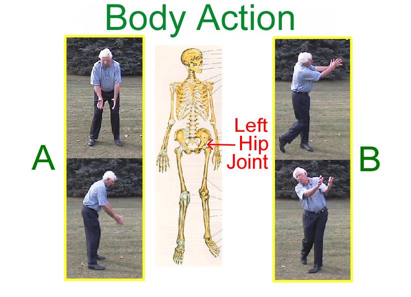 YOUR BODY TURN: THE HEART & SOUL OF THE GOLF SWING To teach you this tour quality swing, we are going to break it down into steps for you.