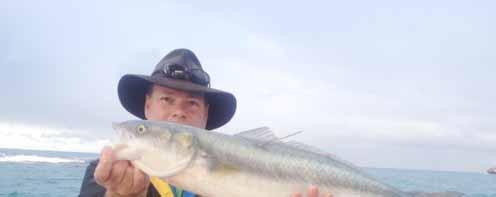 Salmon recapture This year s salmon run in the metro area has been one of the best in many years and has offered light tackle exponents the chance to have a lot of fun and to accrue club championship