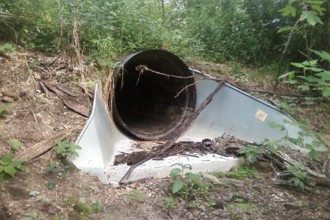 culvert to Blue Lake backwaters. 2nd culvert 600 ft. W at road has flap cover to lessen flow back toward river. Wetland between culverts could be used as collection area.