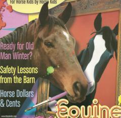 2004 Issues  6 Gypsy Vanners,