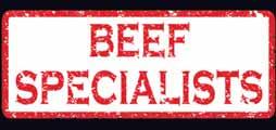 1 2 3 Please contact the Beef Specialist in your region to locate your local sales rep, order semen, request service, and all questions beef related!