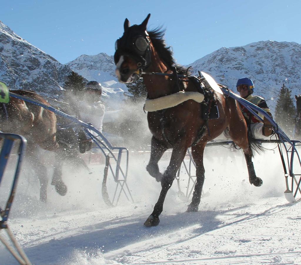 ..only in Arosa Horses racing on a frozen lake, hot air balloons hovering over the mountains, watching the Swiss national team play ice hockey, the snowboard world