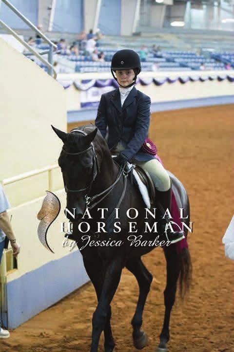 placed Top Five in Arabian gelding in-hand Championships, open and San Besson placed Reserve Champion/Top Five in Arabian stallion breeding Championship, open at the Region 3 Arabian Championships in