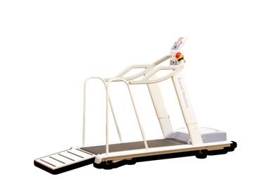 Step-up height: 12,5 cm ( Standard and Plus type) Weight of treadmill: 140 kg ( Standard type) 155 kg ( Plus type) Max.