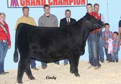 3 I+53 I+97 I+26 +44.72 +50.00 +28.02 +103.75 O+.36 I+.66 Sells with a HEIFER calf at side (Lot 8A) born 01.30.15, sired by Koupals Advance 28.