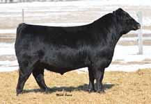 70 LOT 13 PVF Lucy 4159 PAGE 12 Retaining 1/2 embryo interest in Lots 12 & 13.