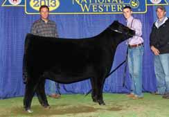 Many of their maternal sisters have been sale highlights through past PVF sales and have gone on to earn much success in the