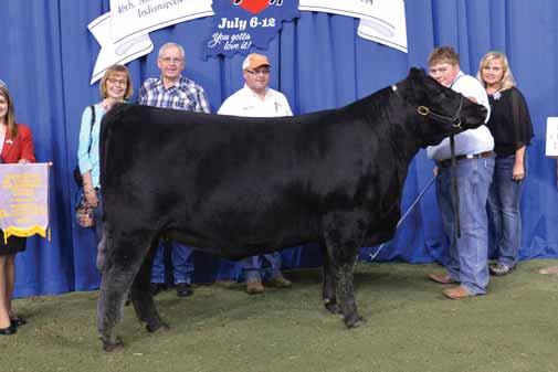 8702 Thomas Blackbird 3552 EPDs +.7 +61 +99 +25 +52.74 +48.23 +11.19 +90.89 +.76 +.70 Sells with a BULL calf at side (Lot 32A) born 01.31.15. Sired by Koupals Advance 28.