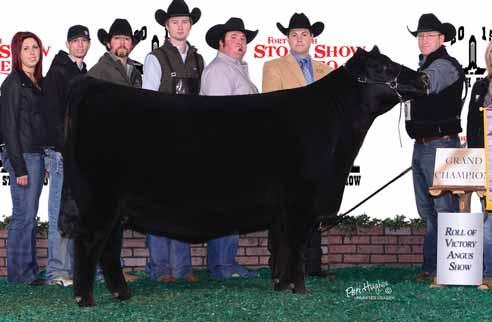 Show and was also selected in 2014 as the Grand Champion Female of the NAILE, and in addition, was a class winner of the 2015 NWSS.