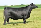 00 +91.63 I+.34 I+.88 PVF Missie 3192, a $30,000 full sister to Lot 7.