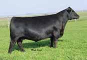 foundation donor-dam of Lots 10-17.