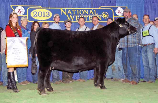 PVF LUCY 1041 - The $35,000 one-half interest full sister to WB PVF Lucy 1052.