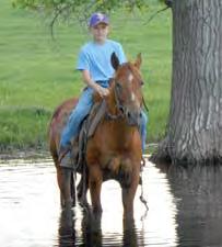 He travels great outside and isn t choppy to ride. Not spooky or jumpy, well riding outside. Captain is great to saddle, bridle, shoe and load in the trailer. More info at www. huntleyhorses.com.