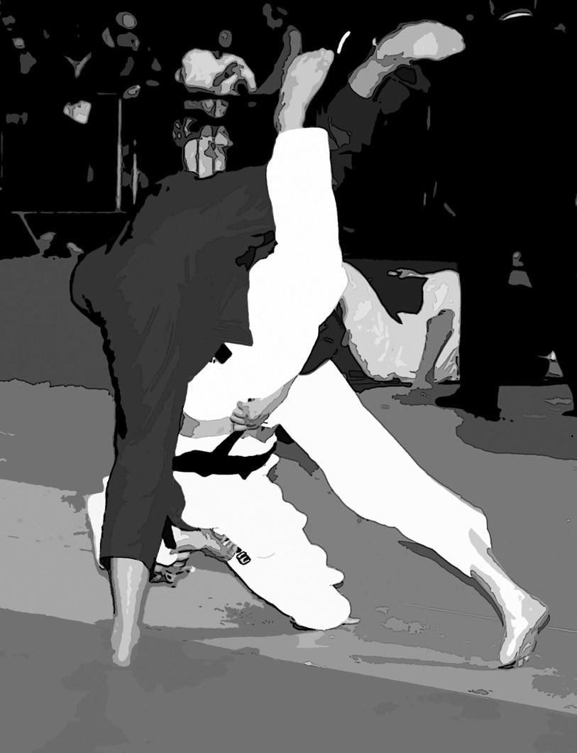 Judo Belgian Ladies Open