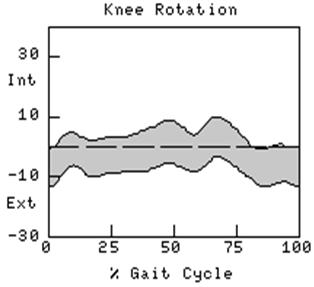 the thigh plane Knee Transverse Plane Kinematic Ankle Motion/Foot Progression Stance LR/MST/TST = progressive internal rotation Swing ISW/MSW/TSW = progressive external rotation