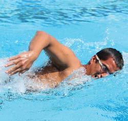The position and motion of the head are the keys to breathing and timing. Proper head motion for breathing lets the head remain low in the water, which helps maintain good body position.