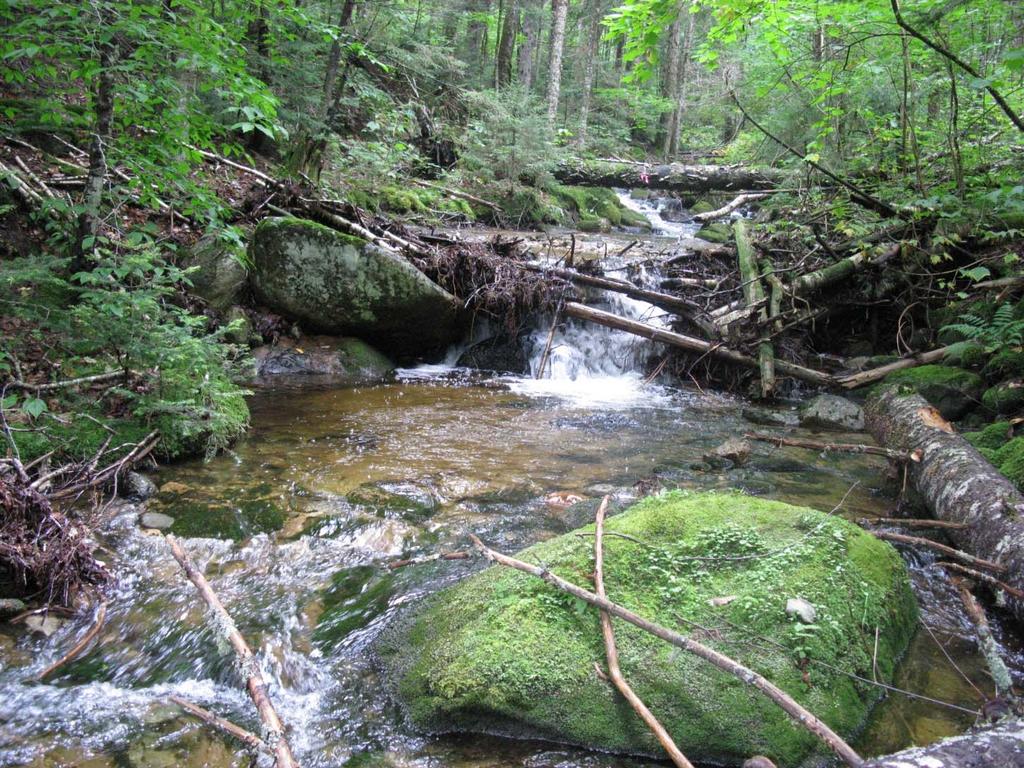 Management of headwater streams in